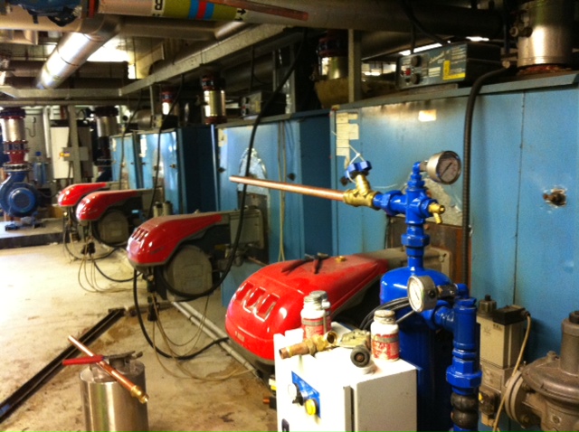 Combined Heat and Power Units